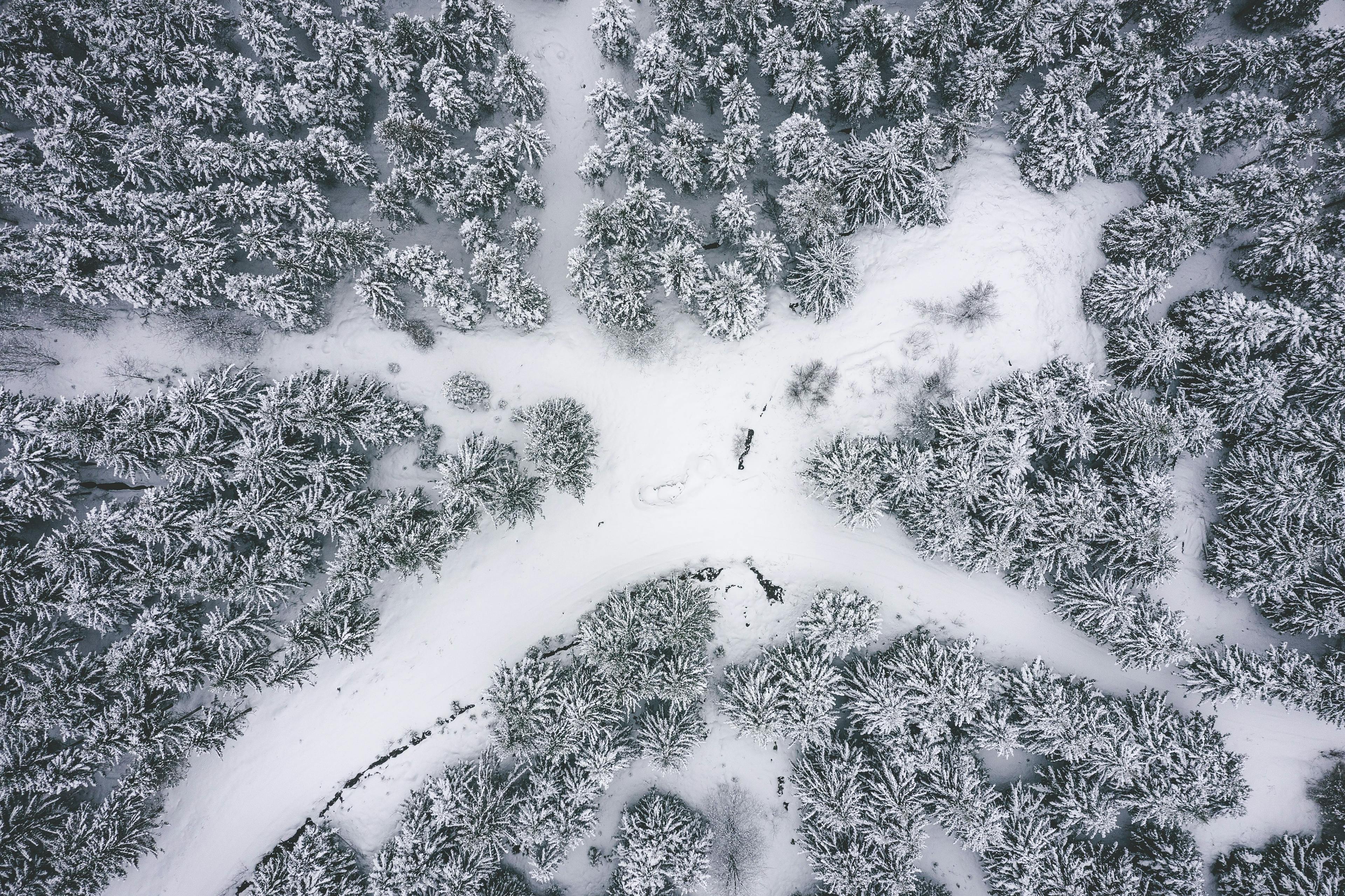 Arial of paths intersecting through a snow covered forest